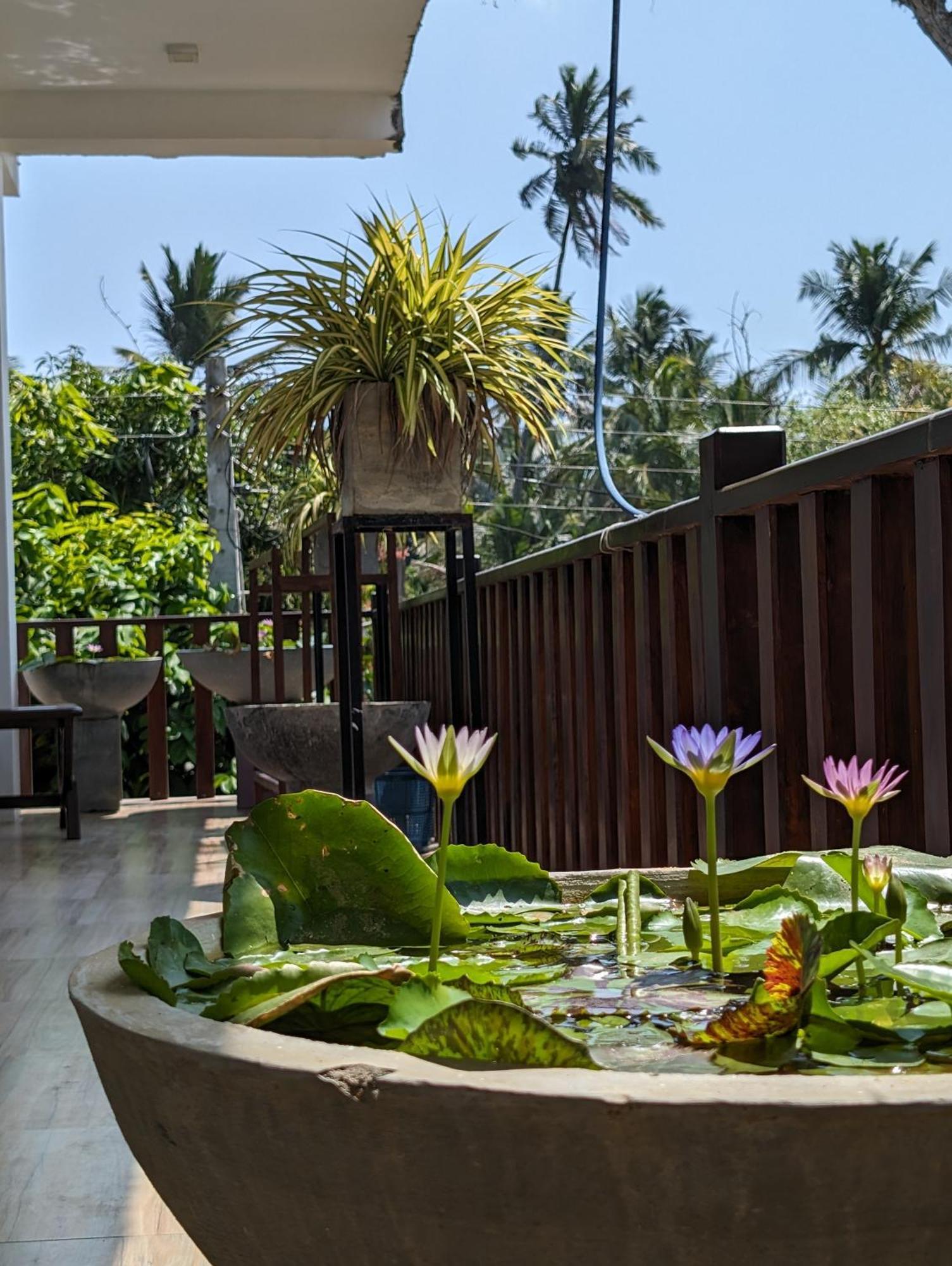 Sea Bay Inn Tangalle Dış mekan fotoğraf